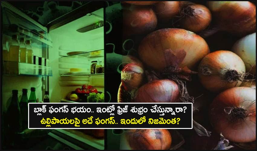 Clean Fridge On Onions Black Fungus Fears Myths Or Fact