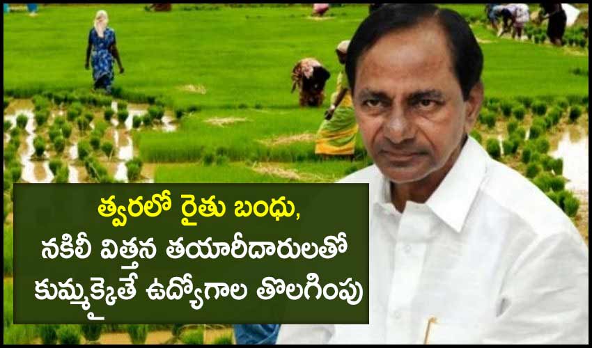 Cm Kcr Review On Department Of Agriculture