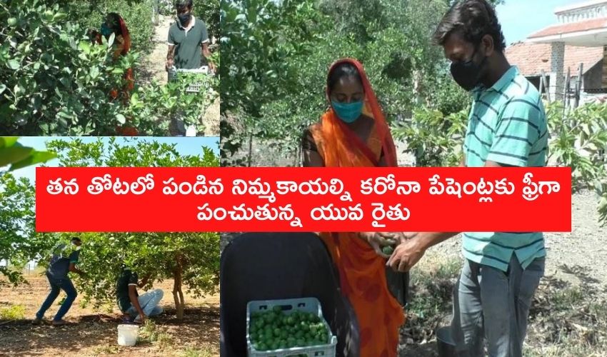 Farmer Giving Free Lemons To Corona Patients (1)