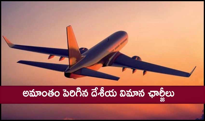 Govt Has Made Changes To Domestic Air Travel