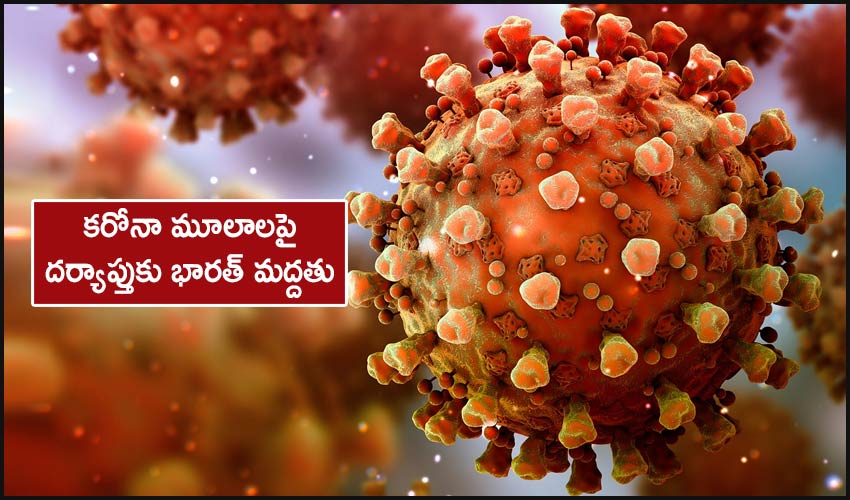 India Supports Whos Covid 19 Origins Study