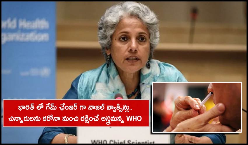 Nasal Vaccines : భారత్ లో గేమ్ ఛేంజర్ గా నాజల్ వ్యాక్సిన్లు..చిన్నారులను కరోనా నుంచి రక్షించే అస్త్రమన్న WHO Nasal Vaccines : భారత్ లో గేమ్ ఛేంజర్ గా నాజల్ వ్యాక్సిన్లు..చిన్నారులను కరోనా నుంచి రక్షించే అస్త్రమన్న WHO