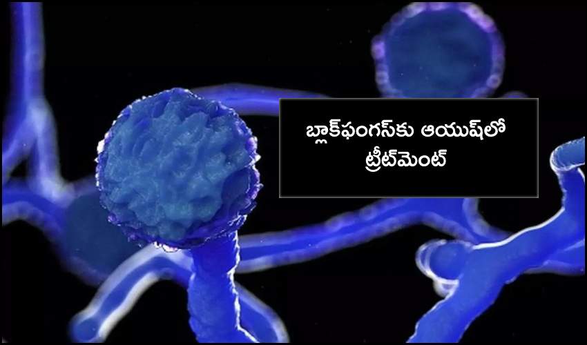 Telangana Cs Holds Meeting To Tackle Black Fungus