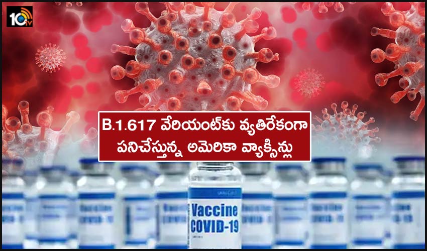 Vaccines Approved By Us Work Against B1617 Variant