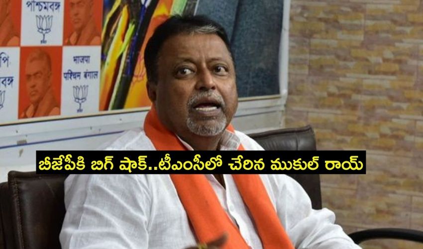 టీఎంసీలోకి ముకుల్ రాయ్! (1)