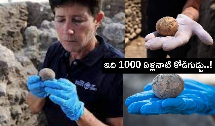 Thousand Years Egg: తవ్వకాల్లో బైటపడ్డ వెయ్యేళ్ల నాటి కోడిగుడ్డు! Thousand Years Egg: తవ్వకాల్లో బైటపడ్డ వెయ్యేళ్ల నాటి కోడిగుడ్డు!
