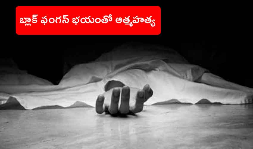 80 Year Old Covid Survivor Suicide