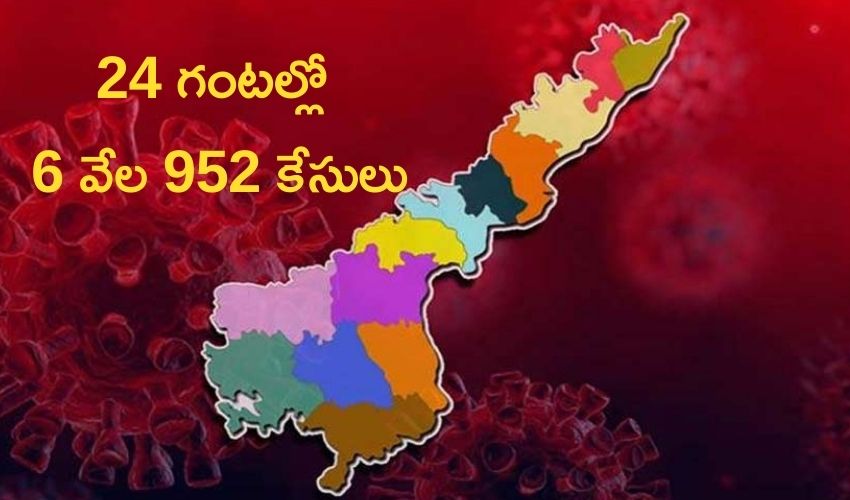 Andhra Pradesh New Covid Cases