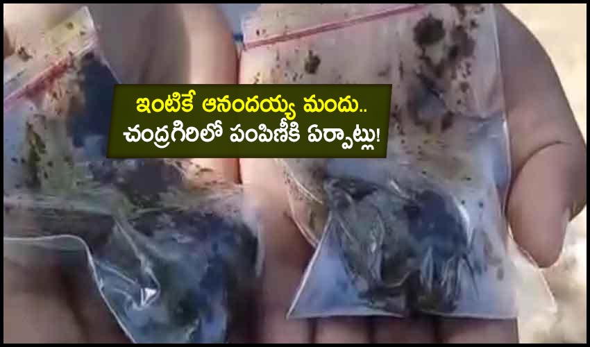 Anandaiah’s Medicine: ఇంటికే ఆనందయ్య మందు.. చంద్రగిరిలో పంపిణీకి ఏర్పాట్లు! Anandaiah’s Medicine: ఇంటికే ఆనందయ్య మందు.. చంద్రగిరిలో పంపిణీకి ఏర్పాట్లు!