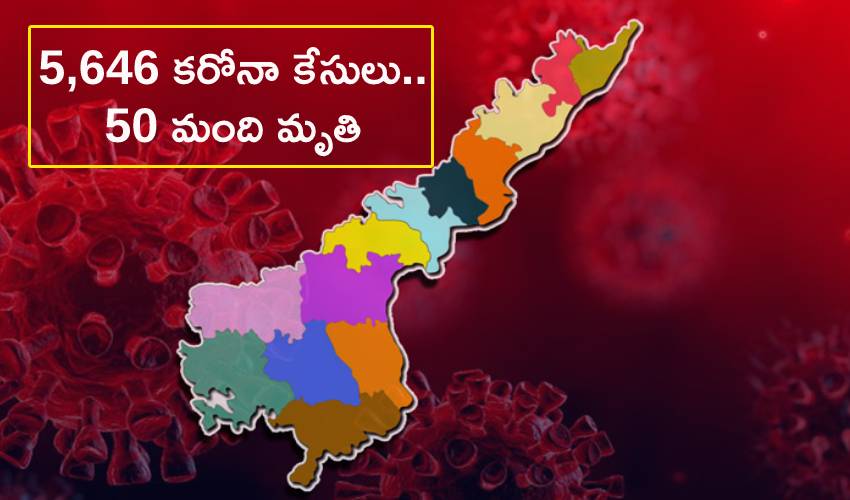 Andhra Pradesh (3)