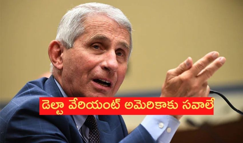 Anthony Fauci