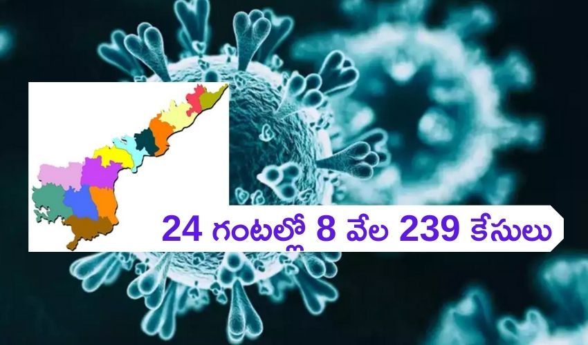 Covid -19 AP : ఏపీలో కరోనా కేసులు..24 గంటల్లో 8 వేల 239 కేసులు Covid -19 AP : ఏపీలో కరోనా కేసులు..24 గంటల్లో 8 వేల 239 కేసులు