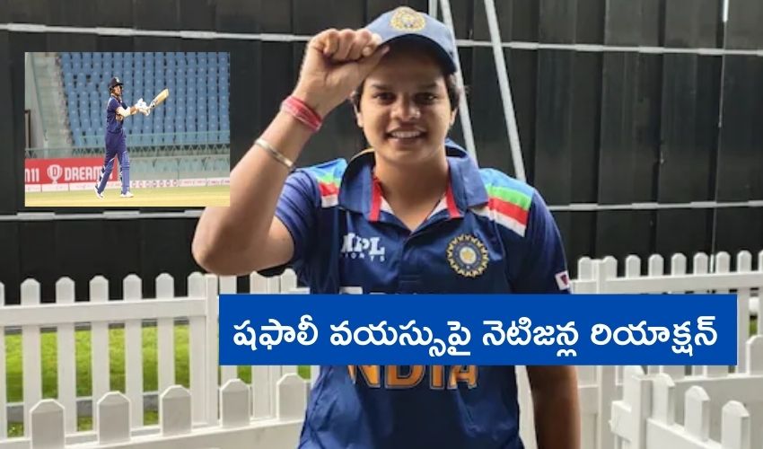 Bcci