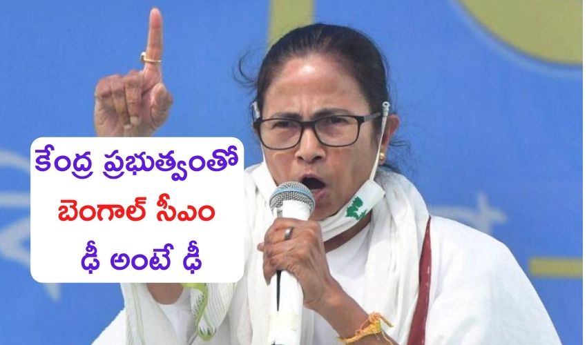 Bengal Cm