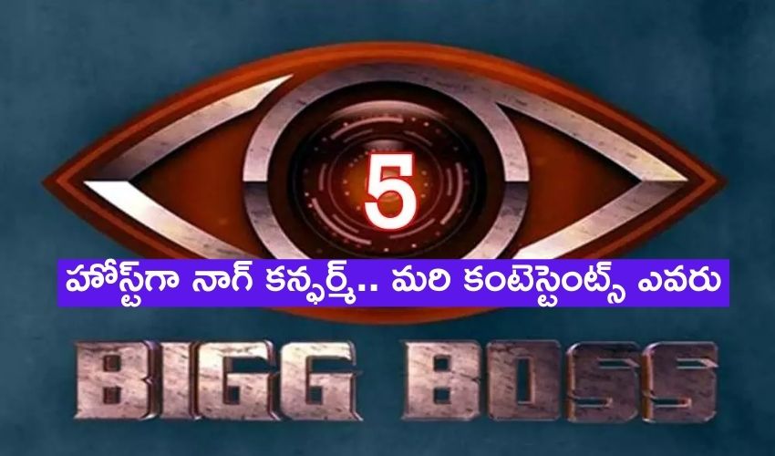 Big Boss 5 Telugu: హోస్ట్గా నాగార్జునే.. మరి కంటెస్టెంట్స్ ఎవరు? Big Boss 5 Telugu: హోస్ట్గా నాగార్జునే.. మరి కంటెస్టెంట్స్ ఎవరు?