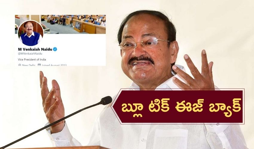 Twitter Blue Tick : వెంకయ్య నాయుడు ట్విట్టర్.. బ్లూ టిక్ ఈజ్ బ్యాక్ Twitter Blue Tick : వెంకయ్య నాయుడు ట్విట్టర్.. బ్లూ టిక్ ఈజ్ బ్యాక్