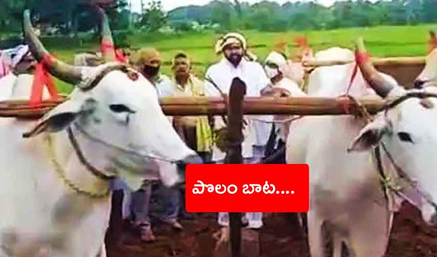 Cbi Ex Jd Lakshmi Narayana