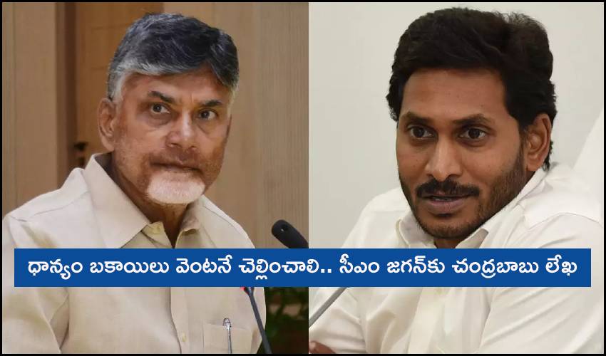 Chandrababu Demands Cm Jagan To Pay Farmers Paddy Procured Pending Payment (1)
