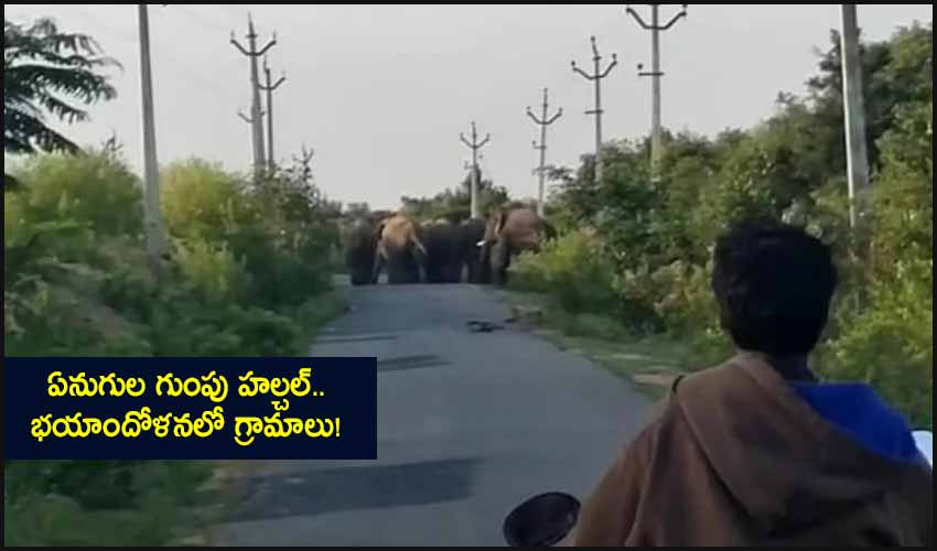 Chittoor District