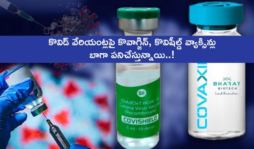 Covaxin Covishield Vaccines Working Better On Three Covid Variants (1)