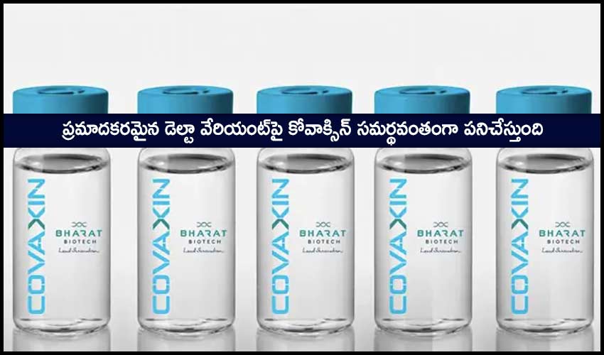 Covaxin Update: ప్రమాదకరమైన డెల్టా వేరియంట్పై కోవాక్సిన్ సమర్థవంతంగా పనిచేస్తుంది Covaxin Update: ప్రమాదకరమైన డెల్టా వేరియంట్పై కోవాక్సిన్ సమర్థవంతంగా పనిచేస్తుంది