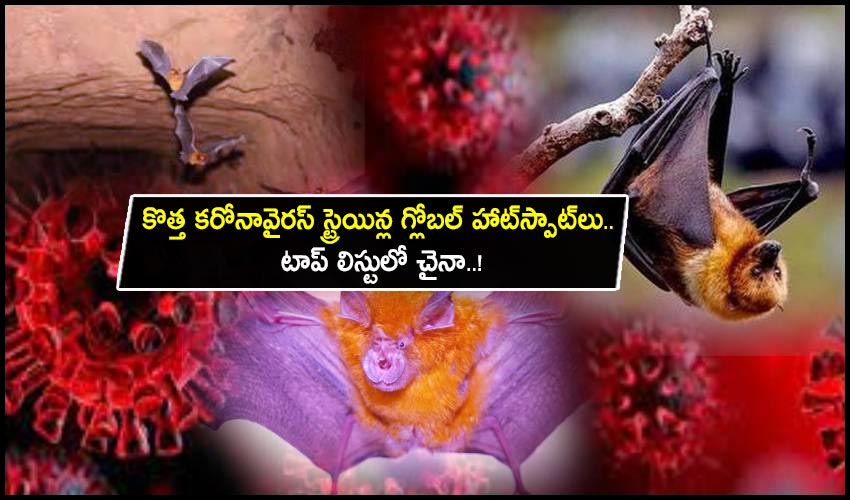 Covid Global Hotspots Strains : కొత్త కరోనావైరస్ స్ట్రెయిన్ల గ్లోబల్ హాట్స్పాట్లు.. టాప్ లిస్టులో చైనా..! Covid Global Hotspots Strains : కొత్త కరోనావైరస్ స్ట్రెయిన్ల గ్లోబల్ హాట్స్పాట్లు.. టాప్ లిస్టులో చైనా..!