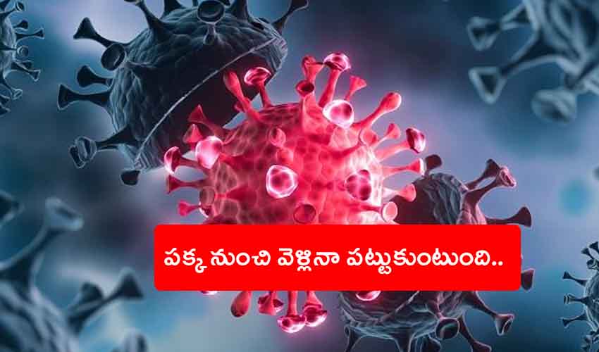 Delta Plus : మరింత డేంజర్.. పక్క నుంచి వెళ్లినా పట్టుకుంటుంది Delta Plus : మరింత డేంజర్.. పక్క నుంచి వెళ్లినా పట్టుకుంటుంది