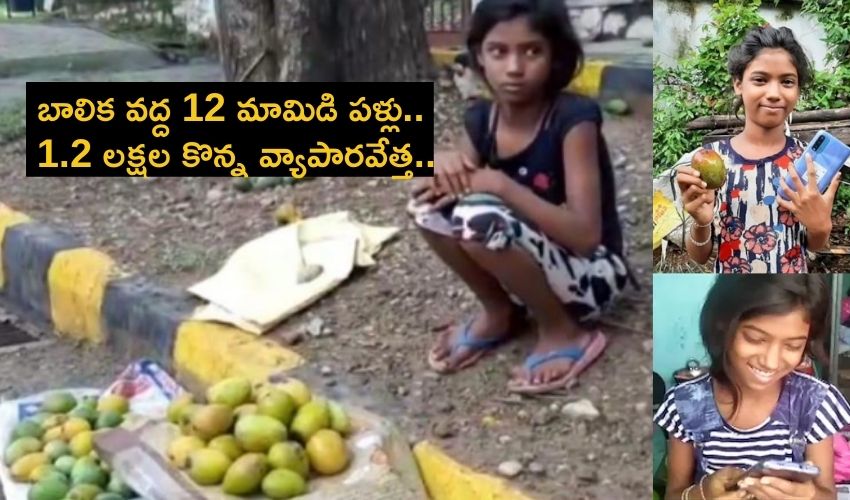 Girl Tulsi Kumari Dozen Mangoes Rs. 1.2 Lakh