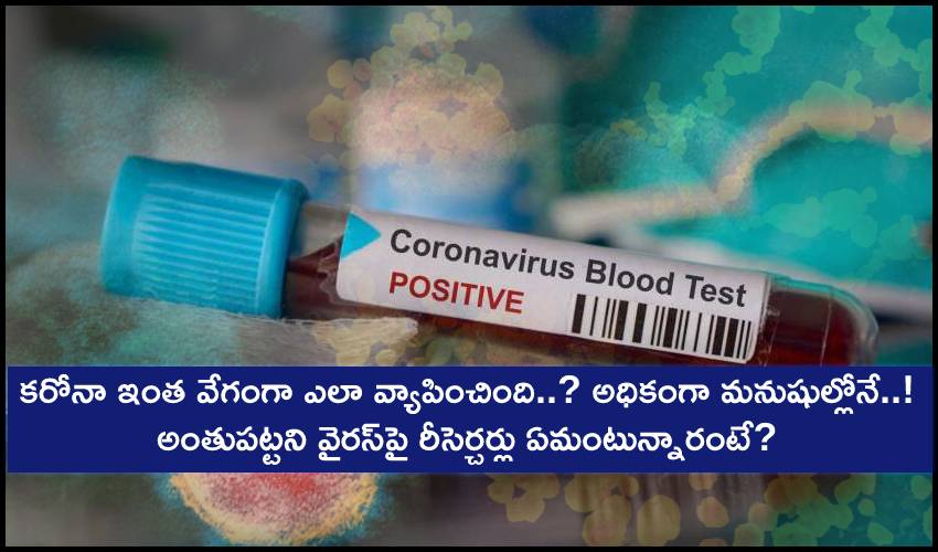 COVID-19 Spread : కరోనా ఇంత వేగంగా ఎలా వ్యాపించింది..? ‘వైరల్ న్యుమోనియా’ అధికంగా మనుషుల్లోనే..! COVID-19 Spread : కరోనా ఇంత వేగంగా ఎలా వ్యాపించింది..? ‘వైరల్ న్యుమోనియా’ అధికంగా మనుషుల్లోనే..!