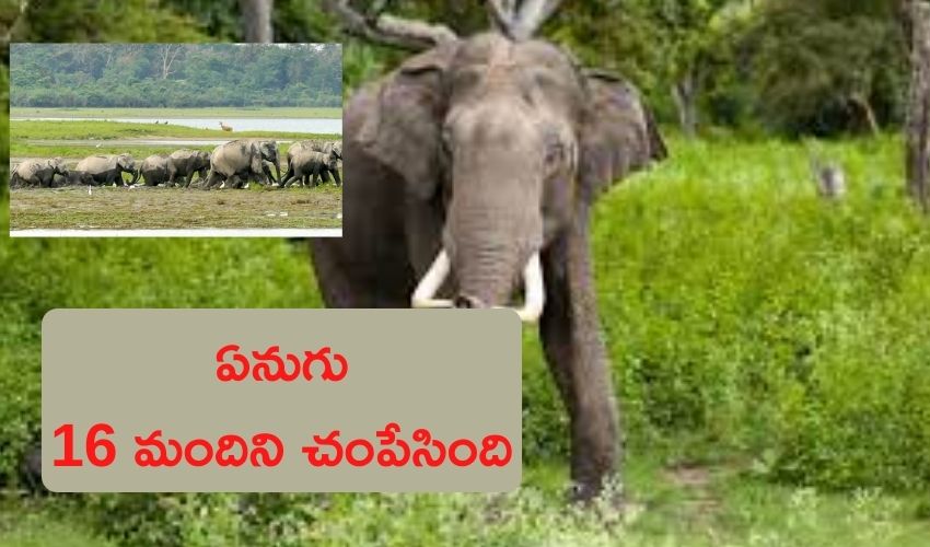 Jharkhand