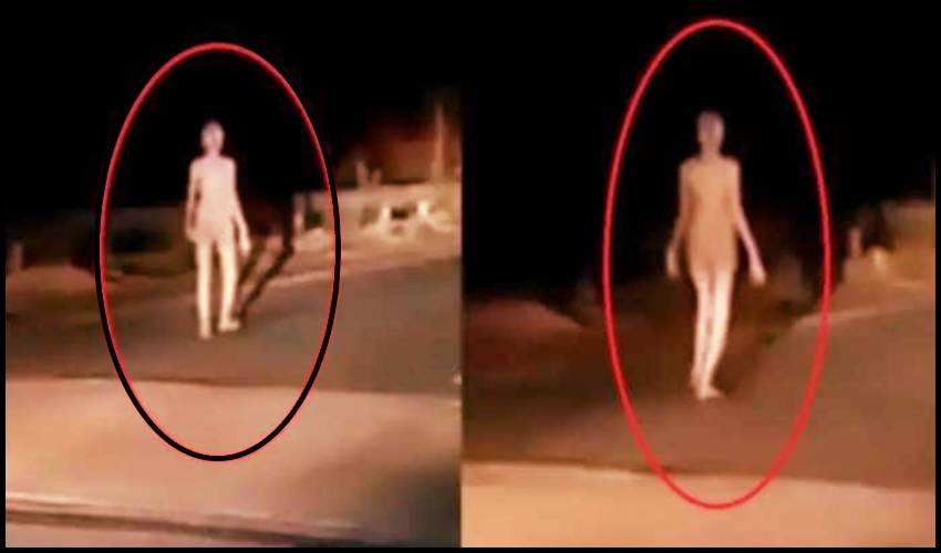 Alien Spot Jharkhand : నడిరోడ్డుపై ఏలియన్.. ఎలా నడుస్తుందో చూడండి.. నిజమెంత? Alien Spot Jharkhand : నడిరోడ్డుపై ఏలియన్.. ఎలా నడుస్తుందో చూడండి.. నిజమెంత?