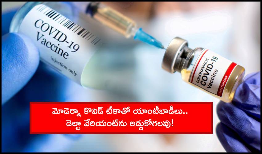 Moderna-Delta Variant : మోడెర్నా కొవిడ్ టీకాతో యాంటీబాడీలు.. డెల్టా వేరియంట్ను అడ్డుకోగలవు! Moderna-Delta Variant : మోడెర్నా కొవిడ్ టీకాతో యాంటీబాడీలు.. డెల్టా వేరియంట్ను అడ్డుకోగలవు!