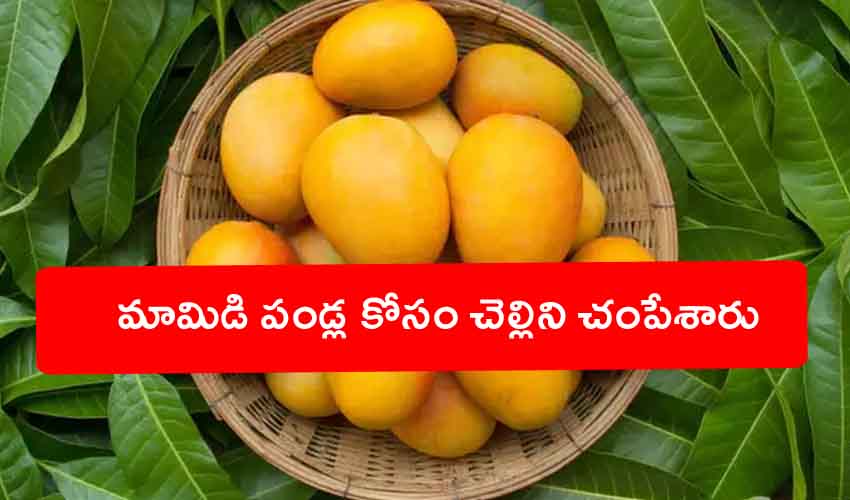 Murder For Mangoes