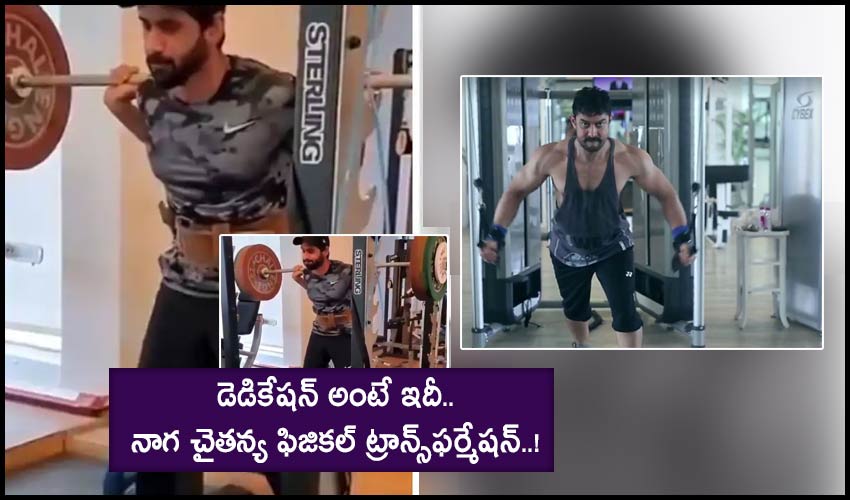 Naga Chaitanya : డెడికేషన్ అంటే ఇదీ.. నాగ చైతన్య ఫిజికల్ ట్రాన్స్ఫర్మేషన్..! Naga Chaitanya : డెడికేషన్ అంటే ఇదీ.. నాగ చైతన్య ఫిజికల్ ట్రాన్స్ఫర్మేషన్..!