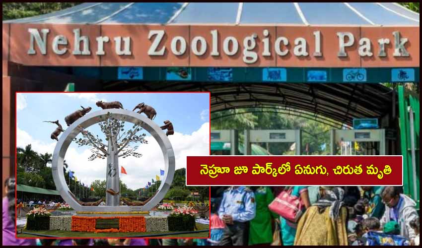 Nehru Zoo Park
