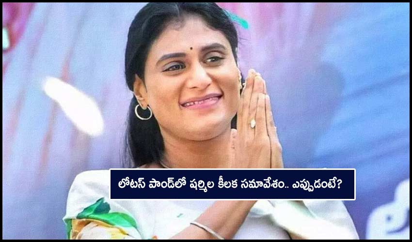 Sharmila New Party