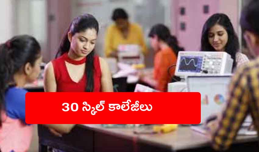 Skill Development Colleges