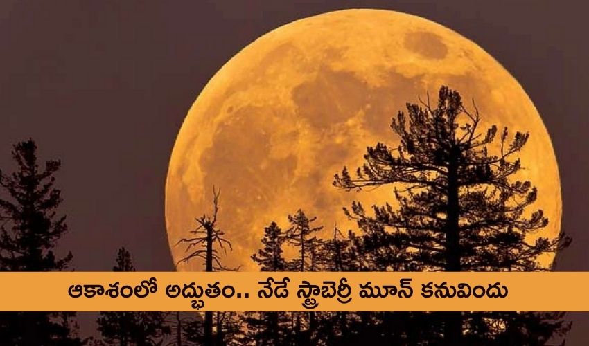 Strawberry Moon 2021 (1)