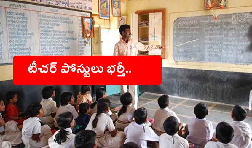 Teachers Recruitment