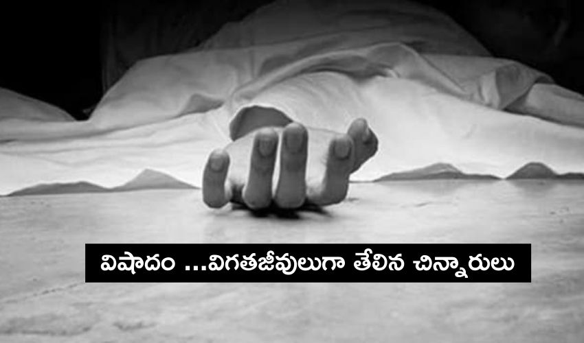 Tragedy : కృష్ణాజిల్లాలో విషాదం… విగతజీవులుగా చిన్నారులు Tragedy : కృష్ణాజిల్లాలో విషాదం… విగతజీవులుగా చిన్నారులు