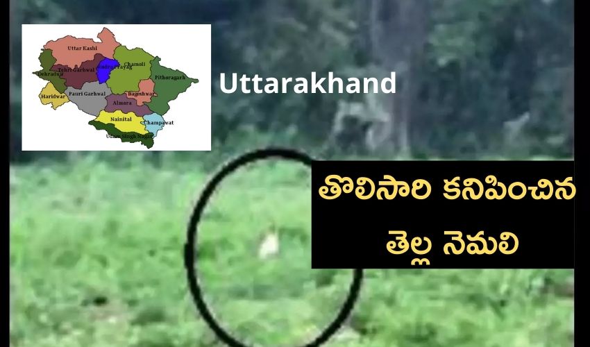 Uttarakhand