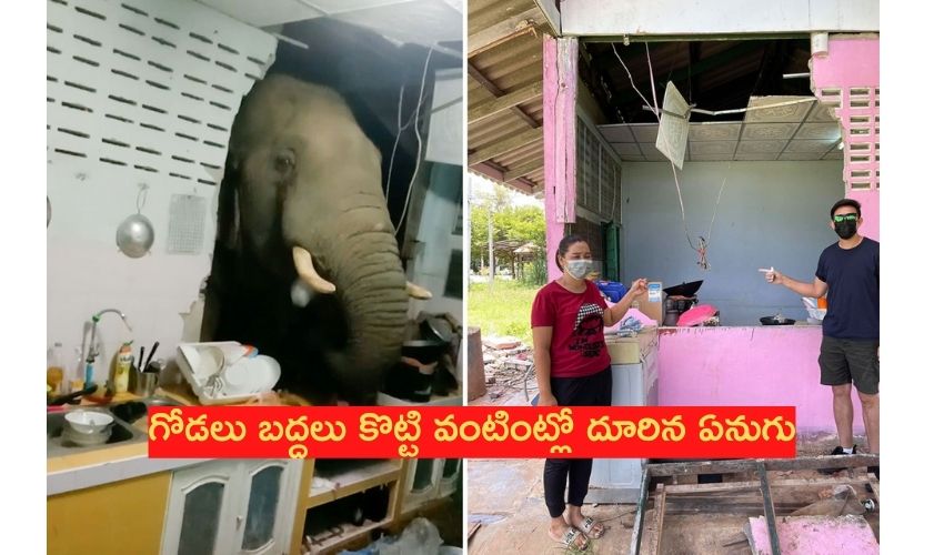Wild elephant: గోడలు బద్దలు కొట్టి వంటింట్లో దూరిన ఏనుగు! Wild elephant: గోడలు బద్దలు కొట్టి వంటింట్లో దూరిన ఏనుగు!