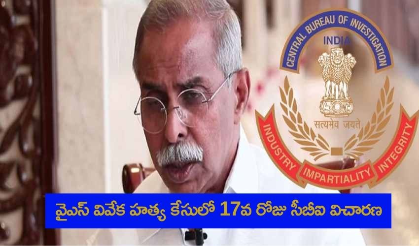 Ys Viveka Murder Case