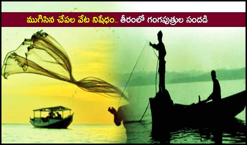 Ap Fishermen To Go Fishing From Today After Two Months Of Ban End