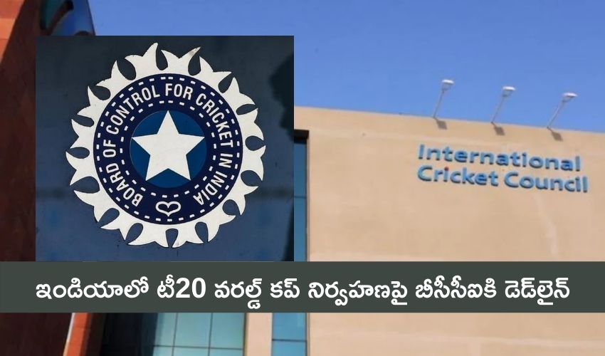 Bcci Deadline