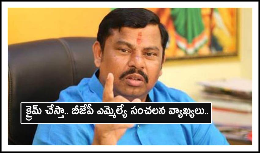 Bjp Mla Rajasingh Sensational Comments