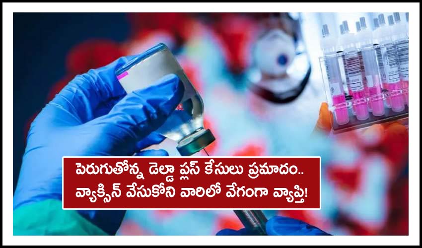 Delta Plus Variant: పెరుగుతోన్న డెల్డా ప్లస్ కేసులు ప్రమాదం.. వ్యాక్సిన్ వేసుకోని వారిలో వేగంగా వ్యాప్తి! Delta Plus Variant: పెరుగుతోన్న డెల్డా ప్లస్ కేసులు ప్రమాదం.. వ్యాక్సిన్ వేసుకోని వారిలో వేగంగా వ్యాప్తి!