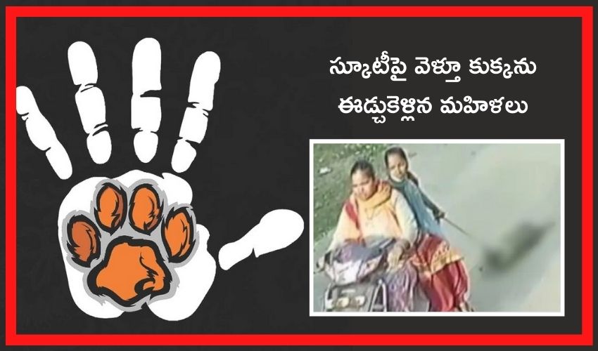 Cruelty on Animals: స్కూటీపై వెళ్తూ కుక్కను ఈడ్చుకెళ్లిన మహిళలు Cruelty on Animals: స్కూటీపై వెళ్తూ కుక్కను ఈడ్చుకెళ్లిన మహిళలు