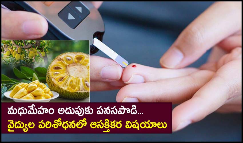 Jackfruit Powder For Diabetes Control