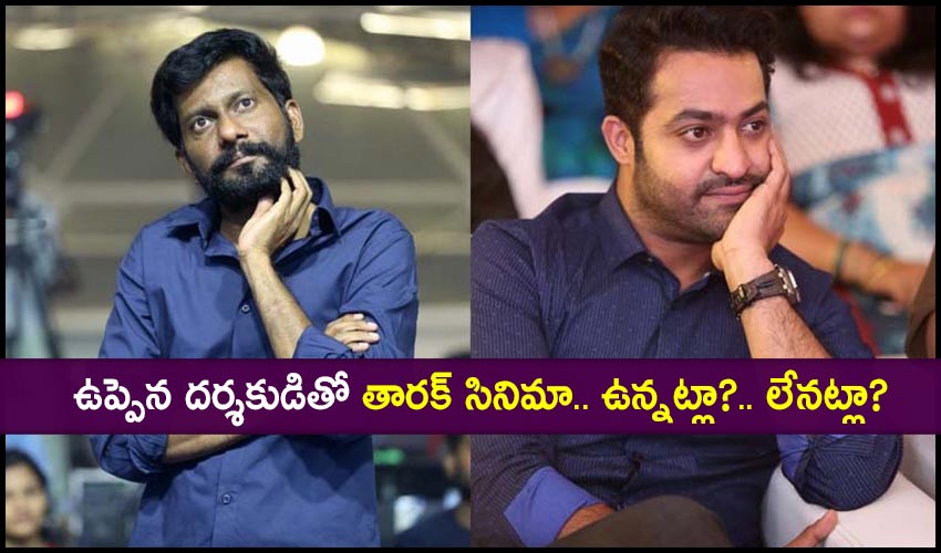 Jr Ntr Movie With Uppena Director Buchhibabu Sana Not Yet Confirmed